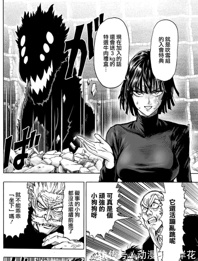 必杀技|一拳超人:波奇听话乖乖坐下,其实是因为这个,并不是怕了