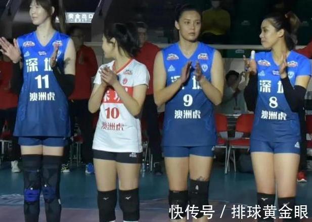 王晨|深圳女排实力分析：主攻略显平庸，自由人实力不错，其他位置够用
