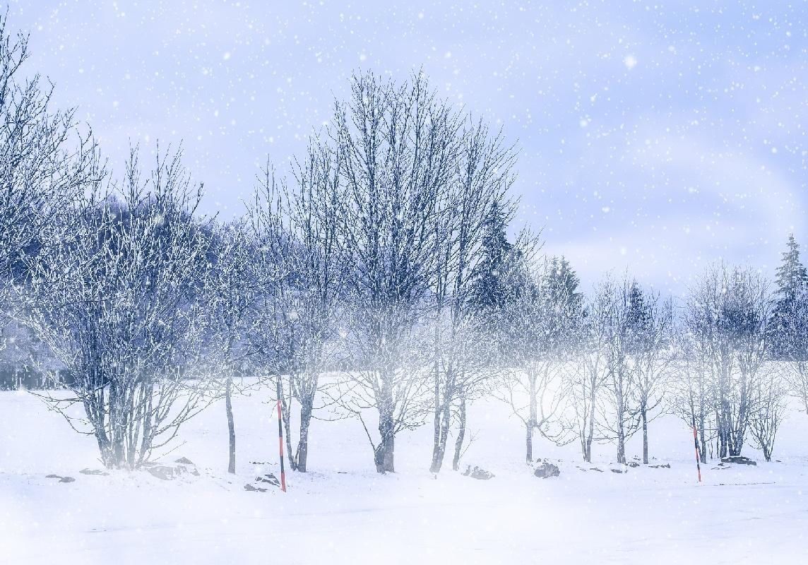  课本|12月7日第六期｜大雪·课本