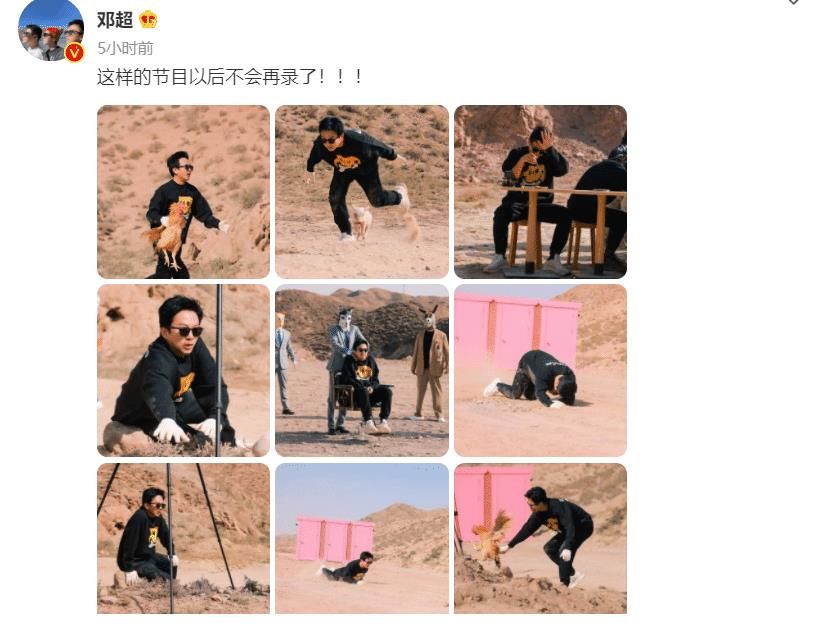 邓超录制节目被猪搞得晕头转向，直言：这样的节目以后不会再录了