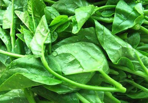 补钙|真正的补钙菜！一周吃一次，降血压、益肝！但一类人最好不要吃！