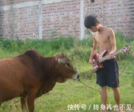 |搞笑图片幽默段子笑话:兄弟你是没有事情做了?还对牛弹琴?