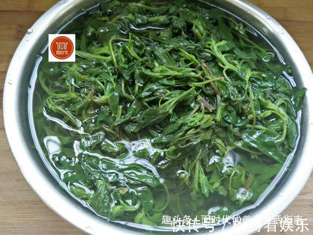 蒜粒|田间地头很常见的野菜,城里餐桌上难得一见美味,小伙伴们记得吗