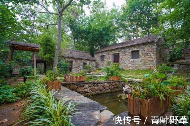 购房|三四线遭遇“回乡潮”,进城购房的家庭,或成为村里的“另类”