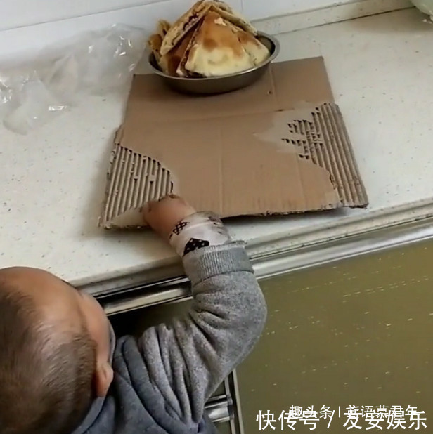 迷你版|迷你版“吃货小达人”用纸箱子偷肉饼吃火了，绝对是个“惯犯”