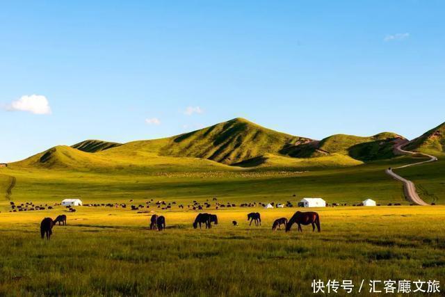 命名|甘南最美的绿色，中国唯一以黄河命名的地方