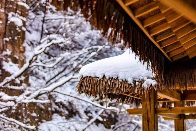 甘露泉|冬日限定！这处冰瀑奇观简直是现实版的“冰雪奇缘”，美出圈了