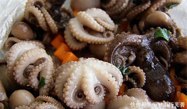 从鱿鱼一煮就消失说起,这些年我们吃过多少食用胶