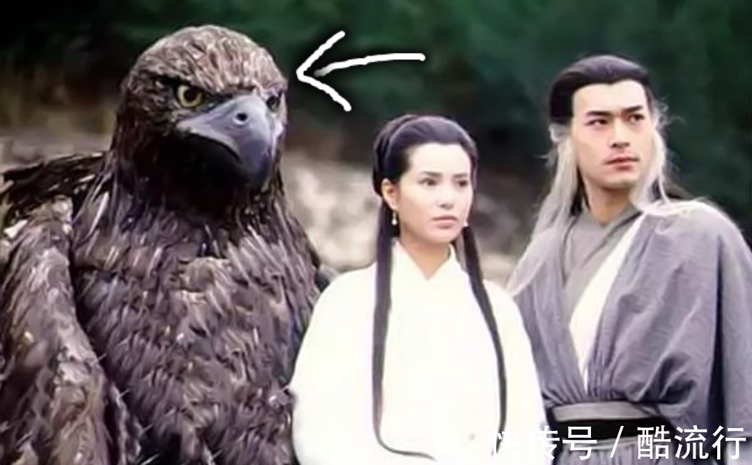 神雕侠侣|国产皮套不如奥特曼,还记得25年前的雕兄吗?真羽毛不输贝蒙斯坦