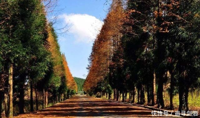 景区|重庆一处景区走红，景美胜过黄山，距南川城区40公里