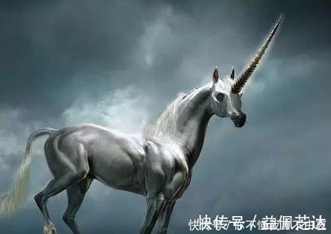 神兽!隋唐英雄中唯一的神兽坐骑,喝酒吃虎豹,最后绝食而死!