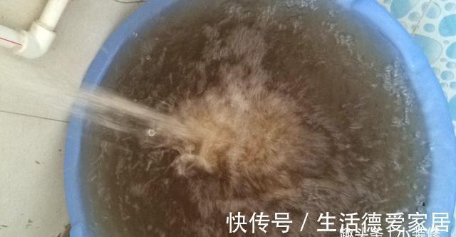 净水器|建议大家:不差钱的话,添置这5件厨房好物,日子越过越幸福