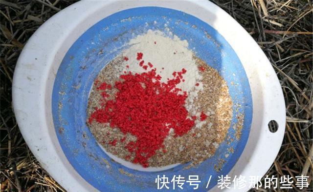 珠子|秋季守钓大鱼，如果遇上杂鱼疯狂闹窝，赶紧换上“珠珠”做饵料