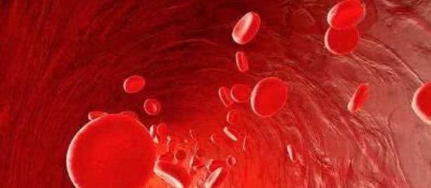 三高|天然“化栓王”找到了，每天吃一点，通血管，溶血栓远离三高