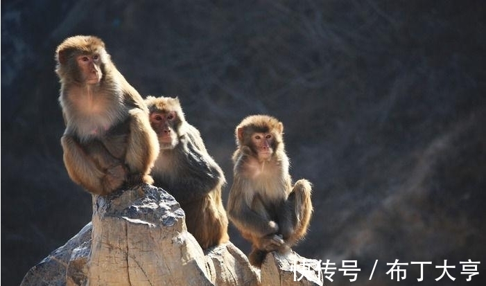 运势|7月，吉星高照，运势枯木逢春，福至心灵，顺风顺水的3个生肖