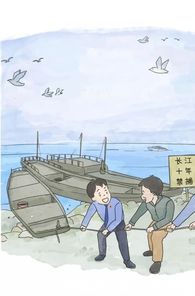 漫画｜中华鲟也想有个家