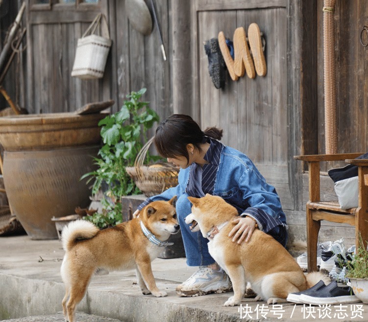 陈赫 《向往5》小算盘落空,杨紫离开节目后,老友记播放次数直线下降
