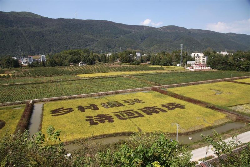 诗画南坪迎客来|组图| 彩蝶