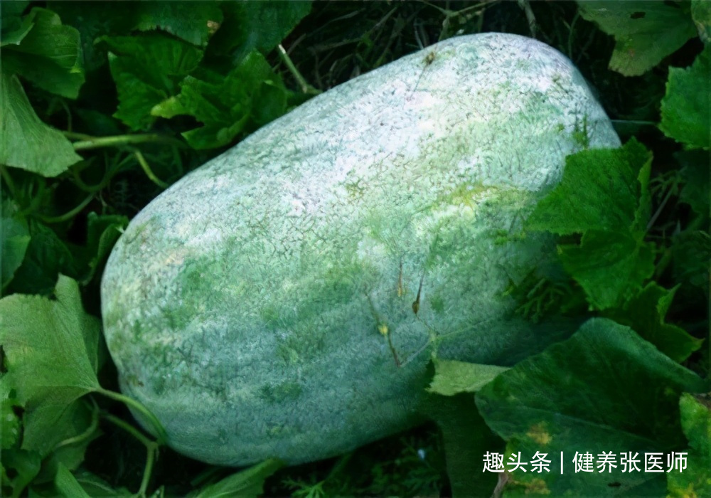 夏天|对身体很好的食物，夏天常吃些，排毒养颜，抗衰老，有益健康