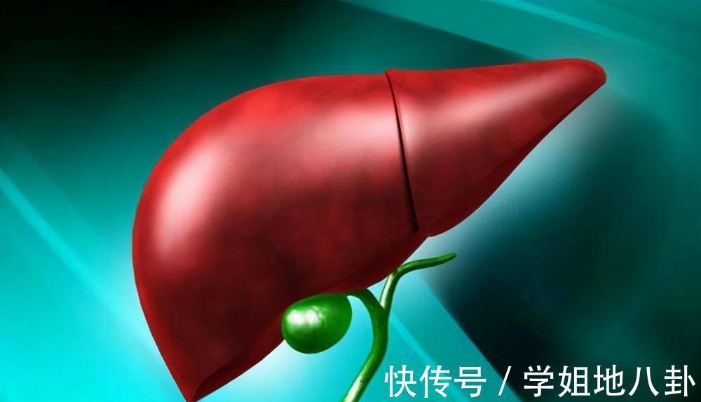 叶子|吃芹菜为什么不吃叶子?大部分人还不明白,为了健康了解一下