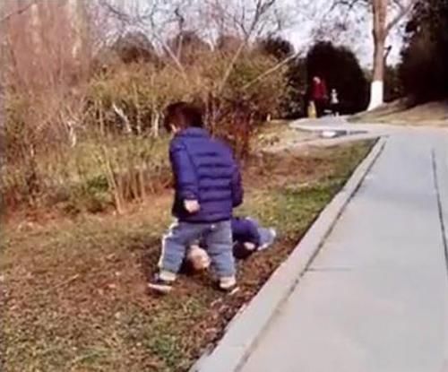 大孩子|双胞胎哥哥跑步摔倒,弟弟之后的举动,让奶奶笑得前仰后合