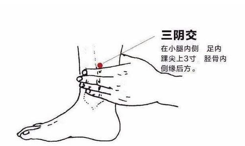 脾胃|脾胃不好胃口差？没事按摩身体这5个穴位，让你远离脾胃虚弱！
