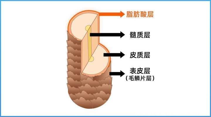 洗发水|真人实测17款洗发水，从29.9元到400元的，这次都测全了