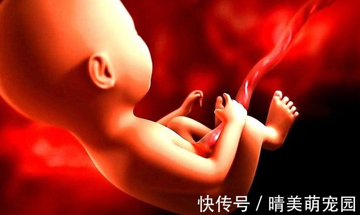 羊水|胎儿在母亲肚子里,生活的很“精致”,那他的大小便都去哪了?