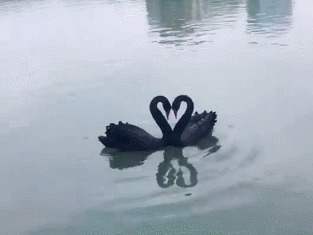 |搞笑GIF:据说刚化完妆的女生都是这样换衣服的