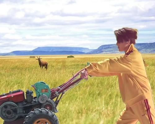 王鸥，你太不圆滑了！