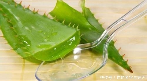 芦荟|食用芦荟要小心,惹上过敏大麻烦!
