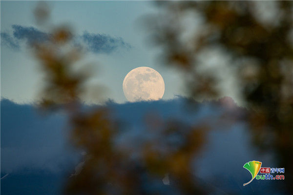 天涯共此时 超级血色月全食 现身全球多地夜空 全网搜