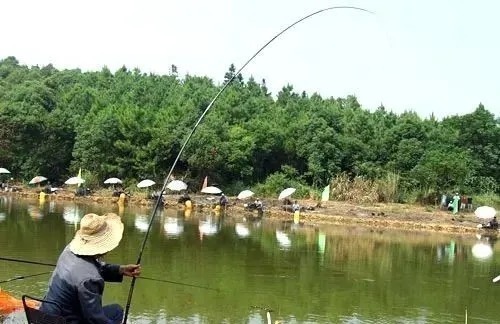 调漂|这些钓鱼人最容易走得弯路,钓龄3年以上的人肯定都经历过!