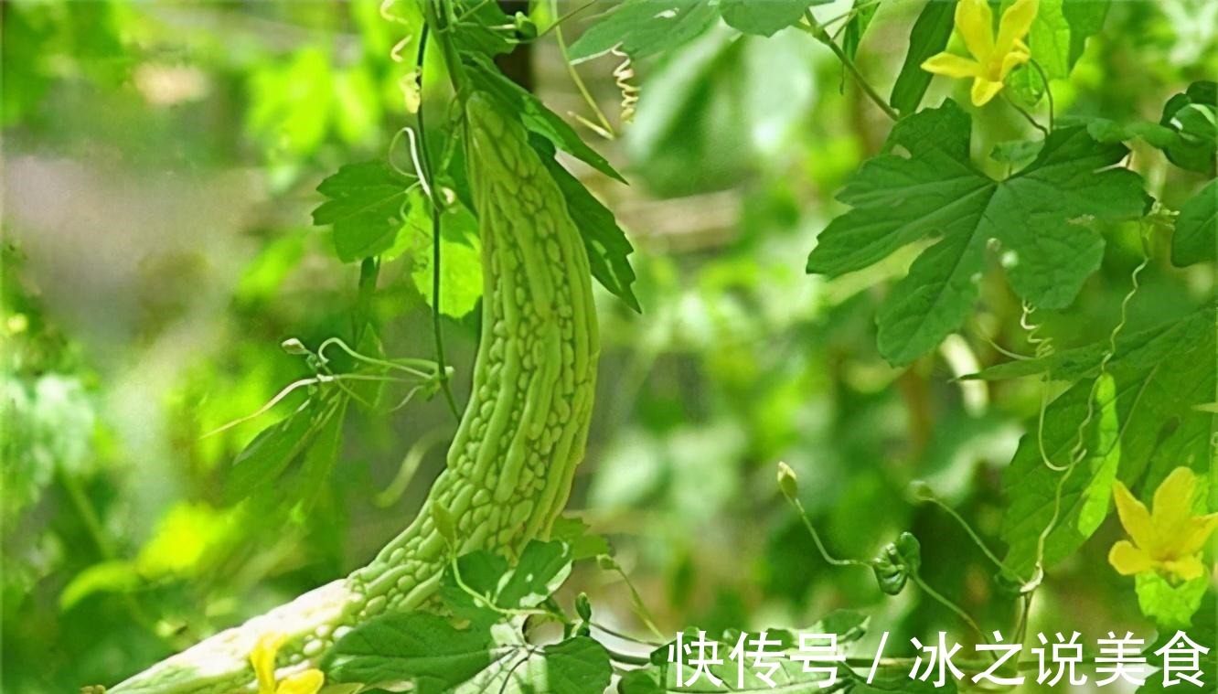 女人|冬天到了,女人多吃以下食物,有清热解毒、祛湿止带功效