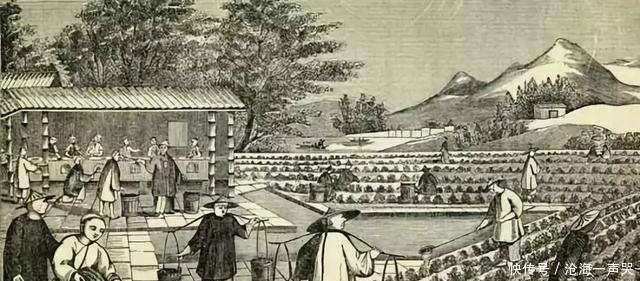 盐业|盐业历史已两千年,私盐贩子却屡禁不止,专卖权也多次易手