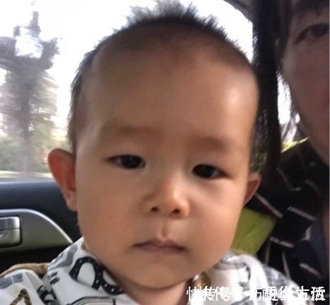 脾胃|补脾“状元”已找到,平常让孩子敞开吃,积食没了,免疫力也强了