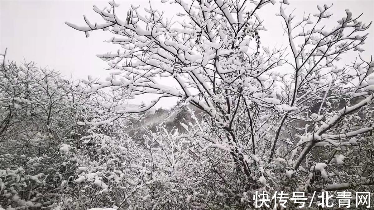 大悟|春雪降瑞：大悟出现罕见雪凇奇观