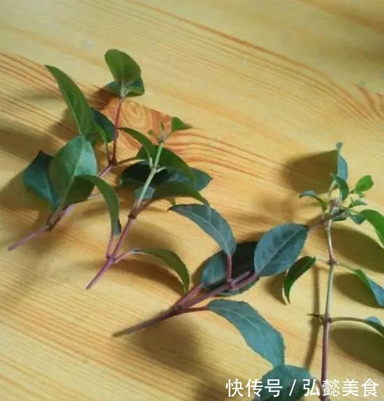水培|3种枝条泡水里,10天长根,一次开花100朵,水培成活率更高!