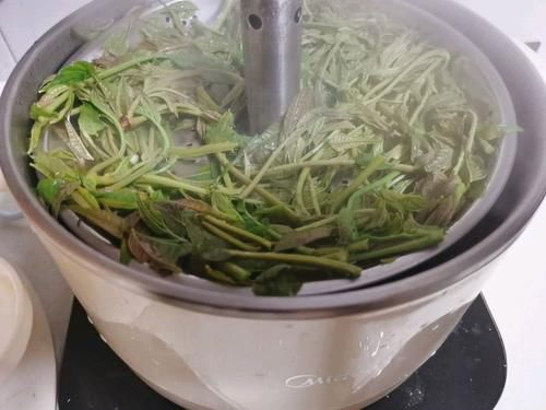 清明前后这菜正时令，女性常吃抗衰老，只有45天，错过要等一年