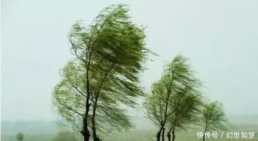 诗词|春风,是最美的春日诗词