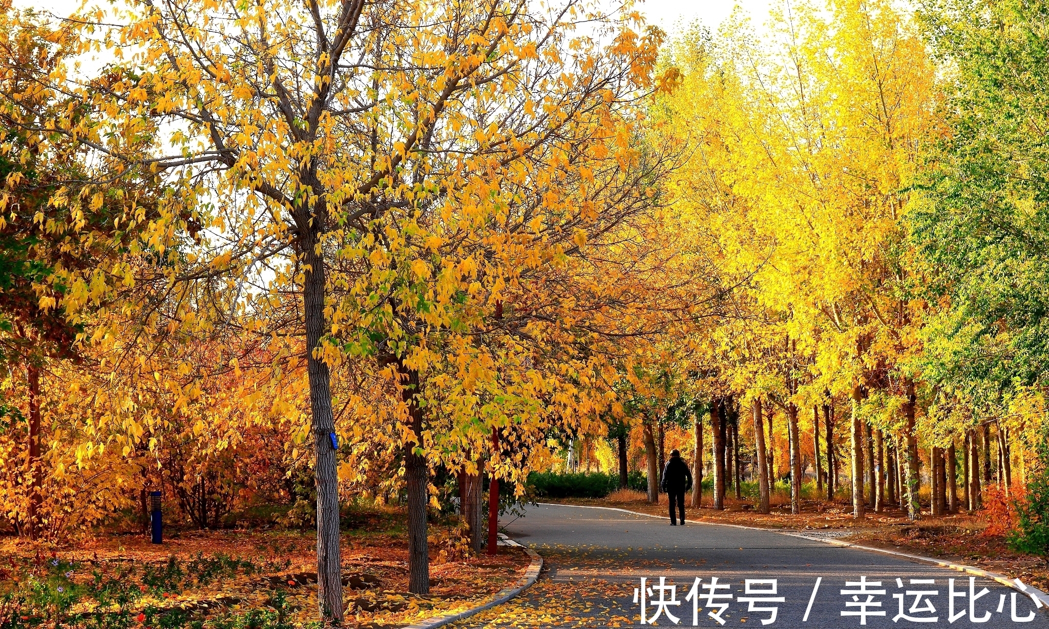 池荷!欧阳修是北宋文坛领袖,也是千古文章四大家之一,他的诗您喜欢吗