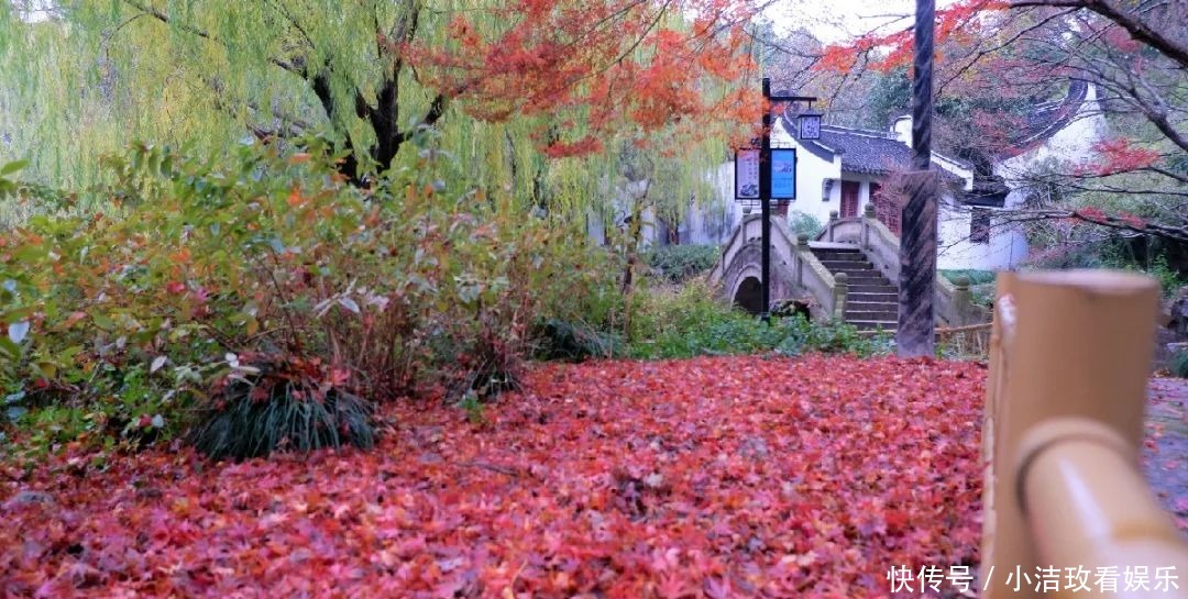 错过就是明年！奉贤这个公园的美已经藏不住了，快来打卡吧！