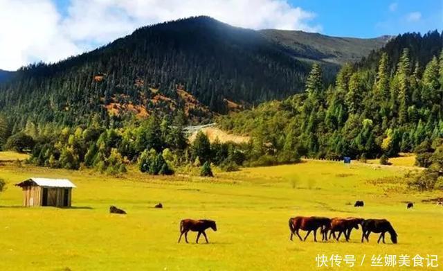 羌塘最惨烈的一次穿越，115人进入仅7人生还