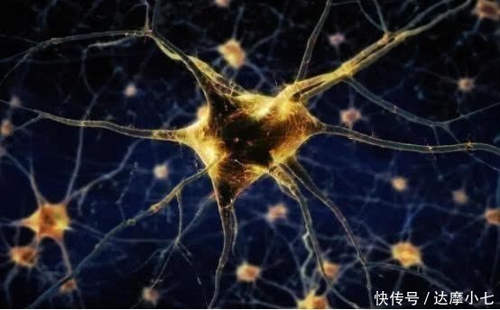 104岁老人暴露长寿秘诀既吸烟又喝酒,他却唯独不“沾”这件事