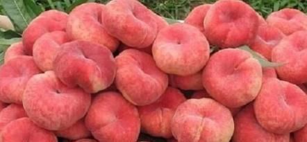 食物|“瘦腰显著”的4种食物,每多吃一口,都有助于瘦出“小蛮腰”