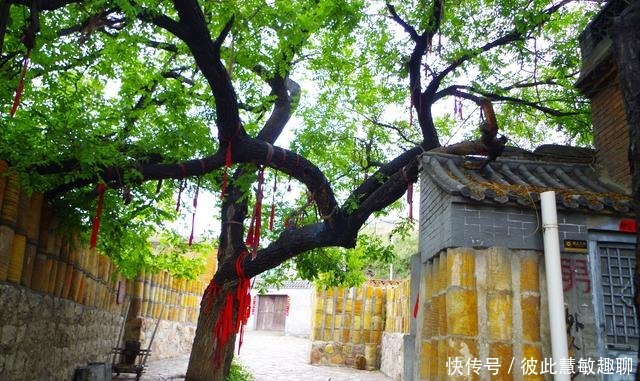 陶瓷|江南有乌镇，河北有个南横口千年陶瓷水镇，而且免门票