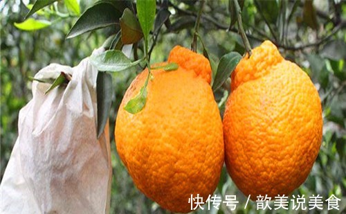 蔓越莓|中年人不妨常吃的食物,养肝排毒,润肤养颜,肌肤更细嫩