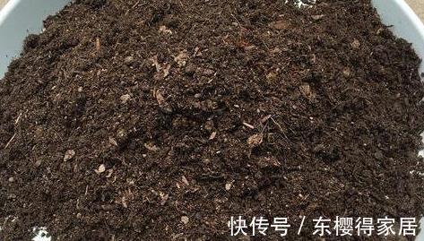 修剪|喜欢养花,先戒掉7个坏习惯,不然啥花也养不好,你占了几个?