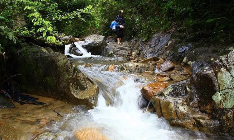 中国人治“湿热”的千年名方八味药，驱膀胱湿