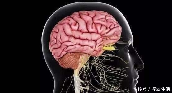 全球一半脑梗在中国,医生建议想长寿,做到2多1少,血管不堵